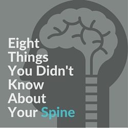 8 Things You Didn’t Know About Your Spine