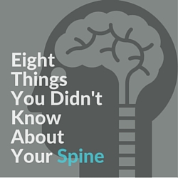 8 Things You Didn’t Know About Your Spine
