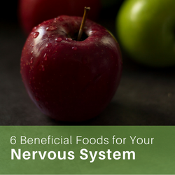 6 Beneficial Foods For Your Nervous System