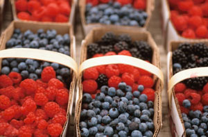 The Connection Between Chiropractic Care And Nutrition